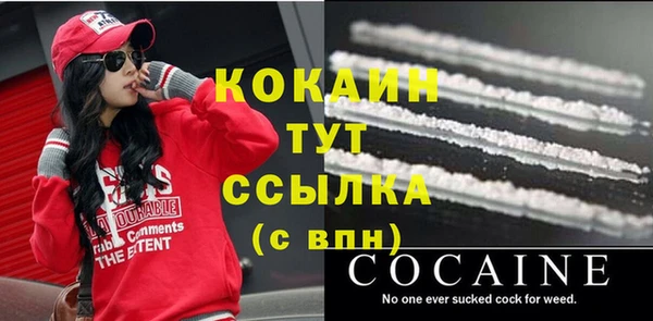 мдпв Верхний Тагил
