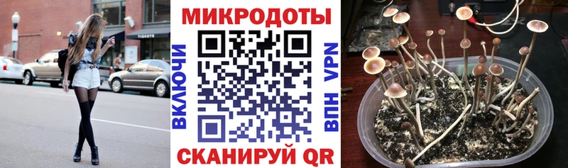 сколько стоит  Богородск  Галлюциногенные грибы ЛСД 